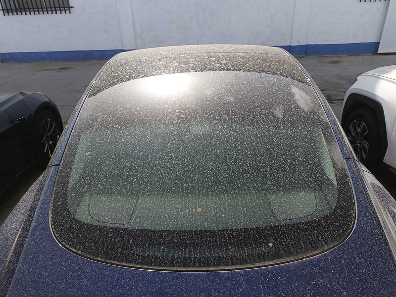 Foto Tesla Model 3 13