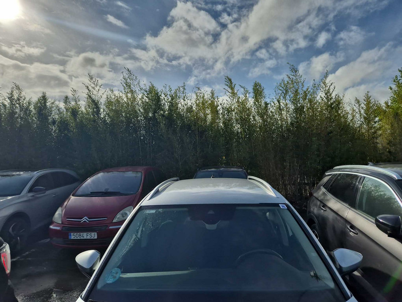 Foto Skoda Kamiq 6