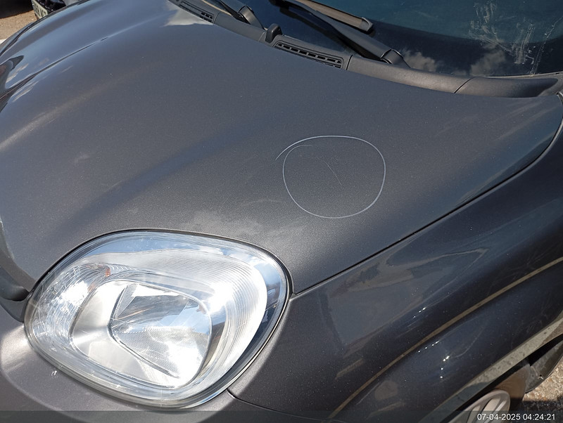 Foto Fiat Panda 28