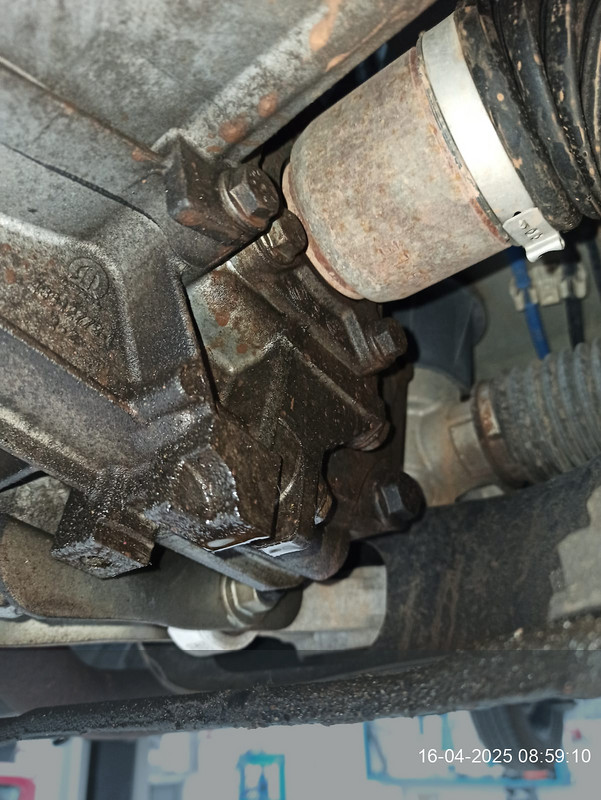 Foto Fiat Panda 53