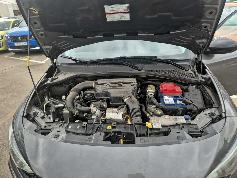 Foto Fiat Tipo 7