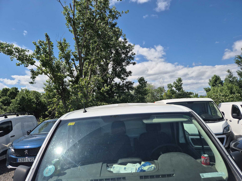 Foto Renault Trafic 6