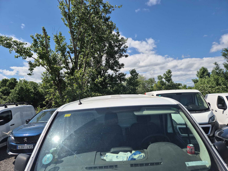 Foto Renault Trafic 8