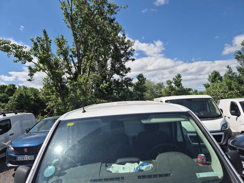 Foto Renault Trafic 9