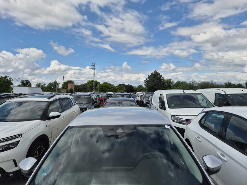 Foto Skoda Octavia 6
