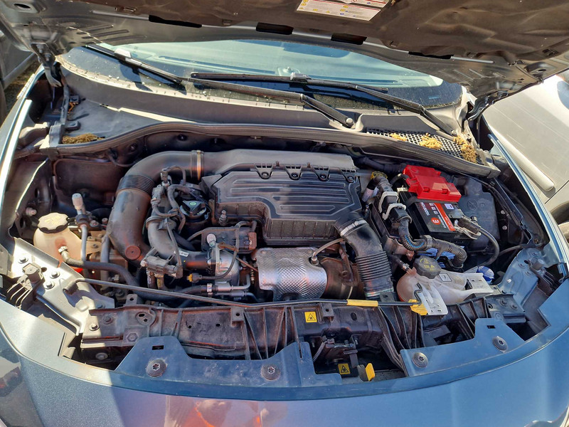 Foto Fiat Tipo 7