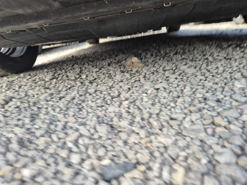 Foto Fiat Panda 5