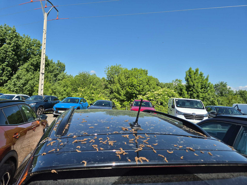 Foto Volkswagen T-CROSS 20