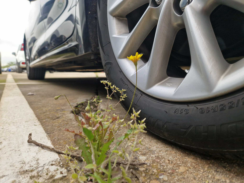 Foto Toyota Corolla 20