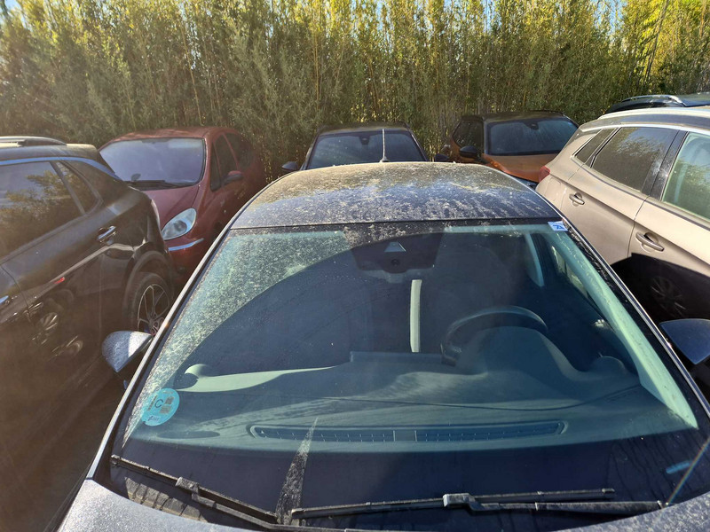 Foto Seat Ibiza 7