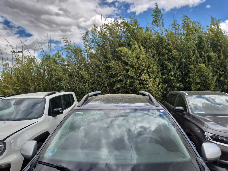 Foto Dacia Duster 6