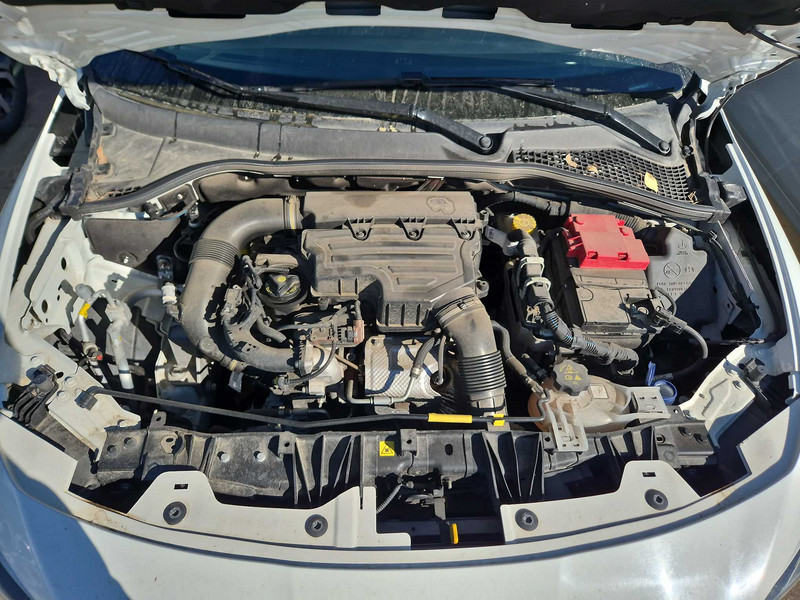 Foto Fiat Tipo 12