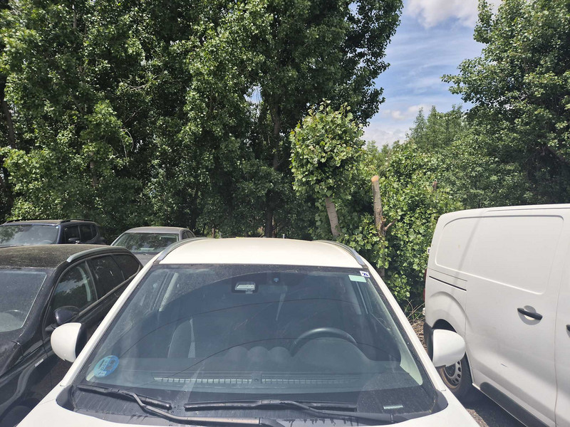 Foto Suzuki VITARA 6
