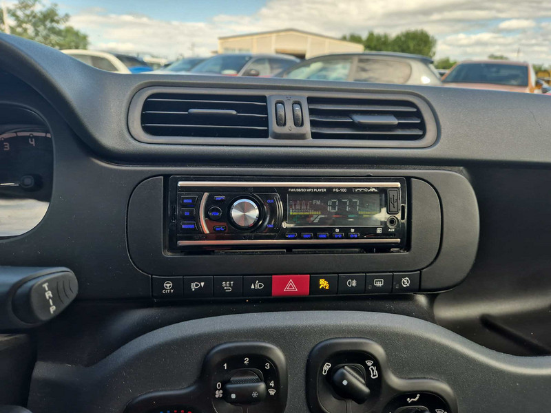 Foto Fiat Panda 9