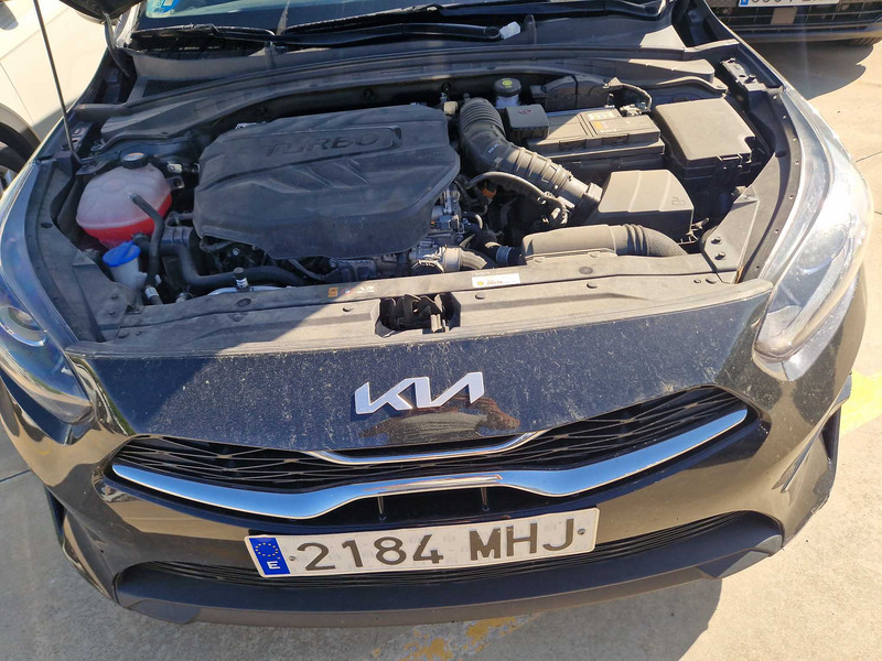 Foto Kia Cee'd Ceed 1.6 MHEV iMT Eco-Dynamics Drive 136 7