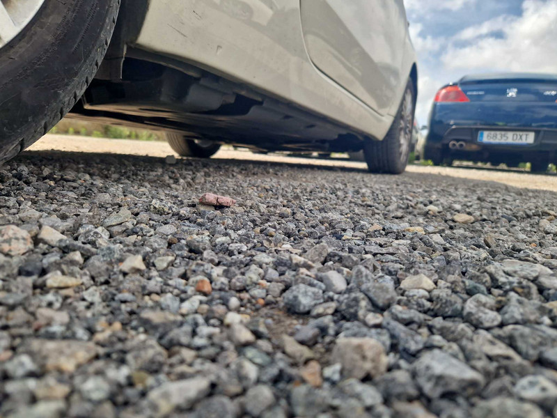 Foto Fiat 500 19