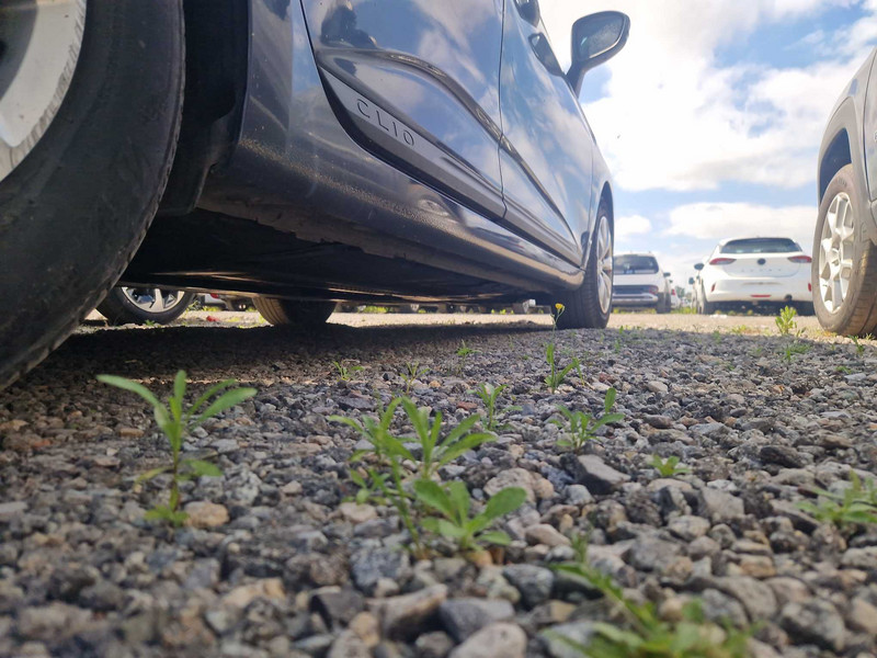 Foto Renault Clio 19