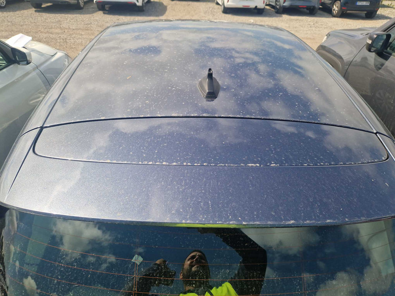 Foto Renault Clio 20