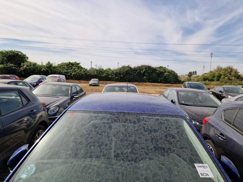 Foto Volkswagen Polo 6