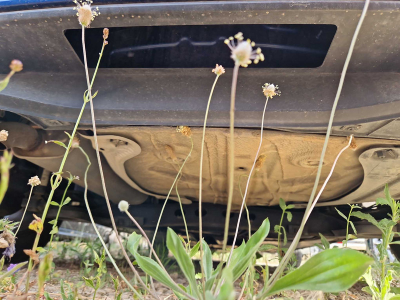 Foto Volkswagen Polo 15