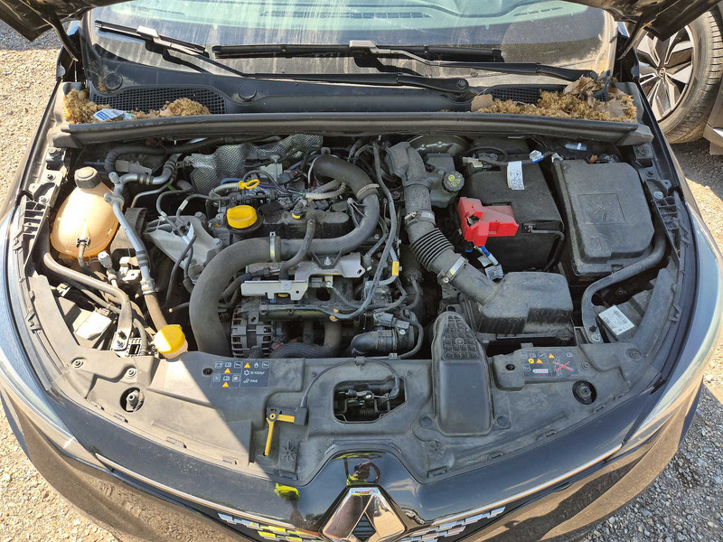 Foto Renault Clio 7