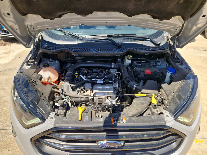 Foto Ford Ecosport 11